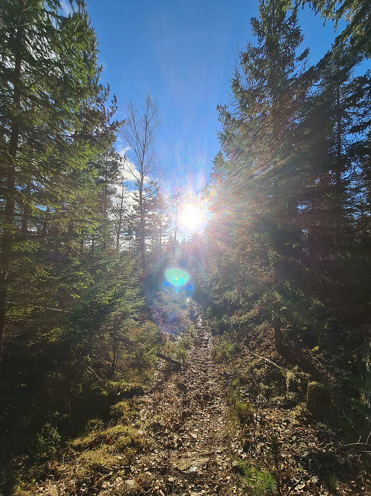 Herlig med sol!
