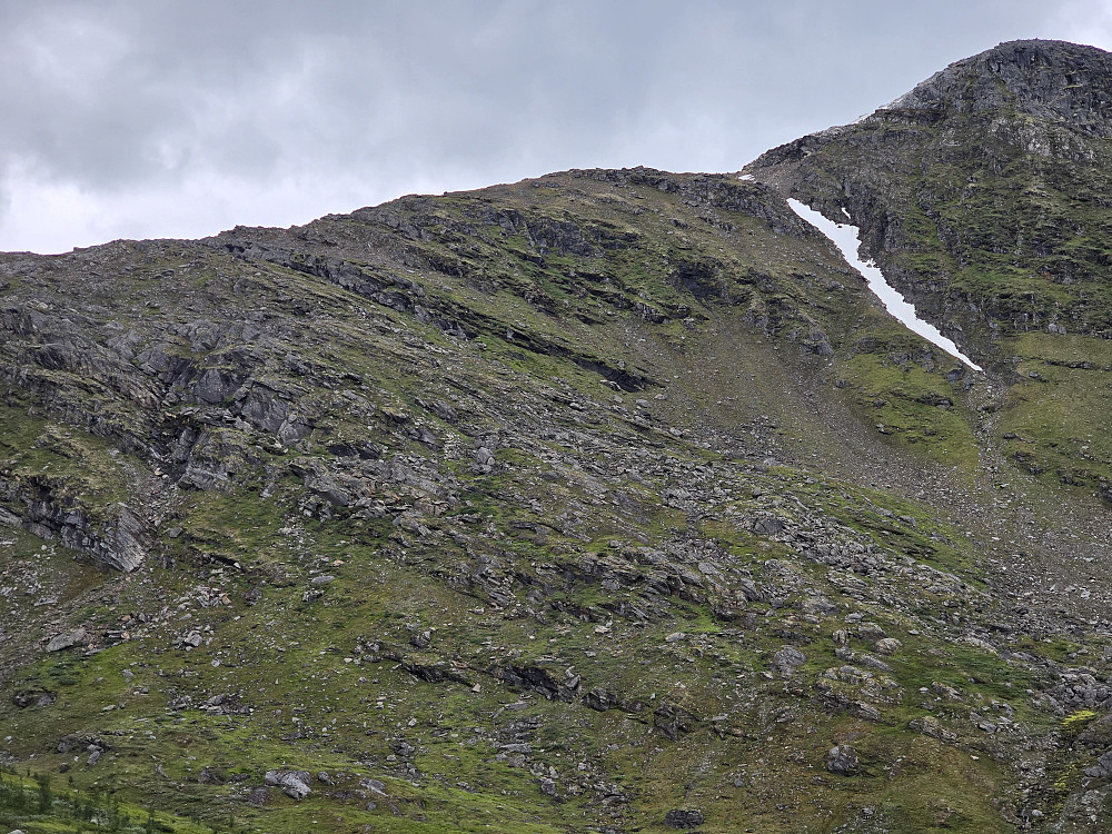 Ruta mi fulgte denne bakken opp til ryggen på Skavneskollen