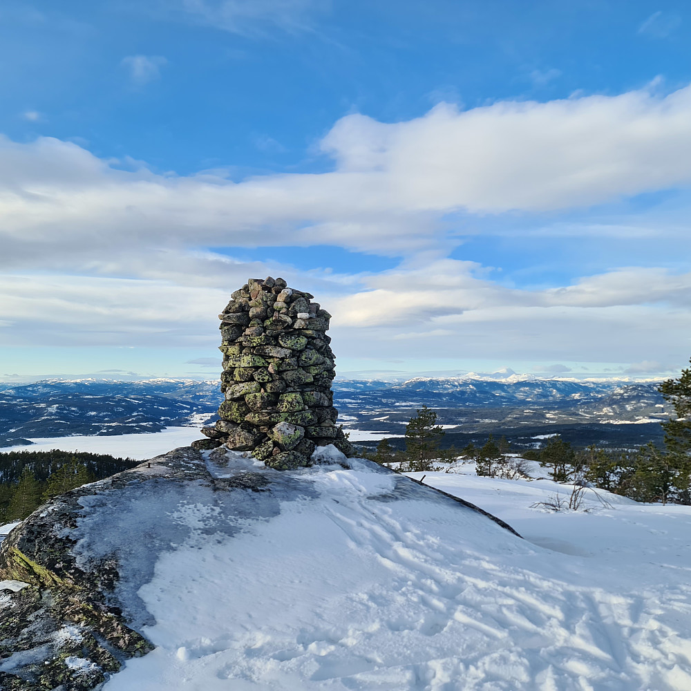 Toppvarden