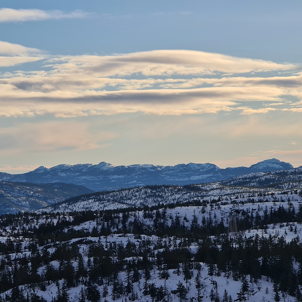 Skrim