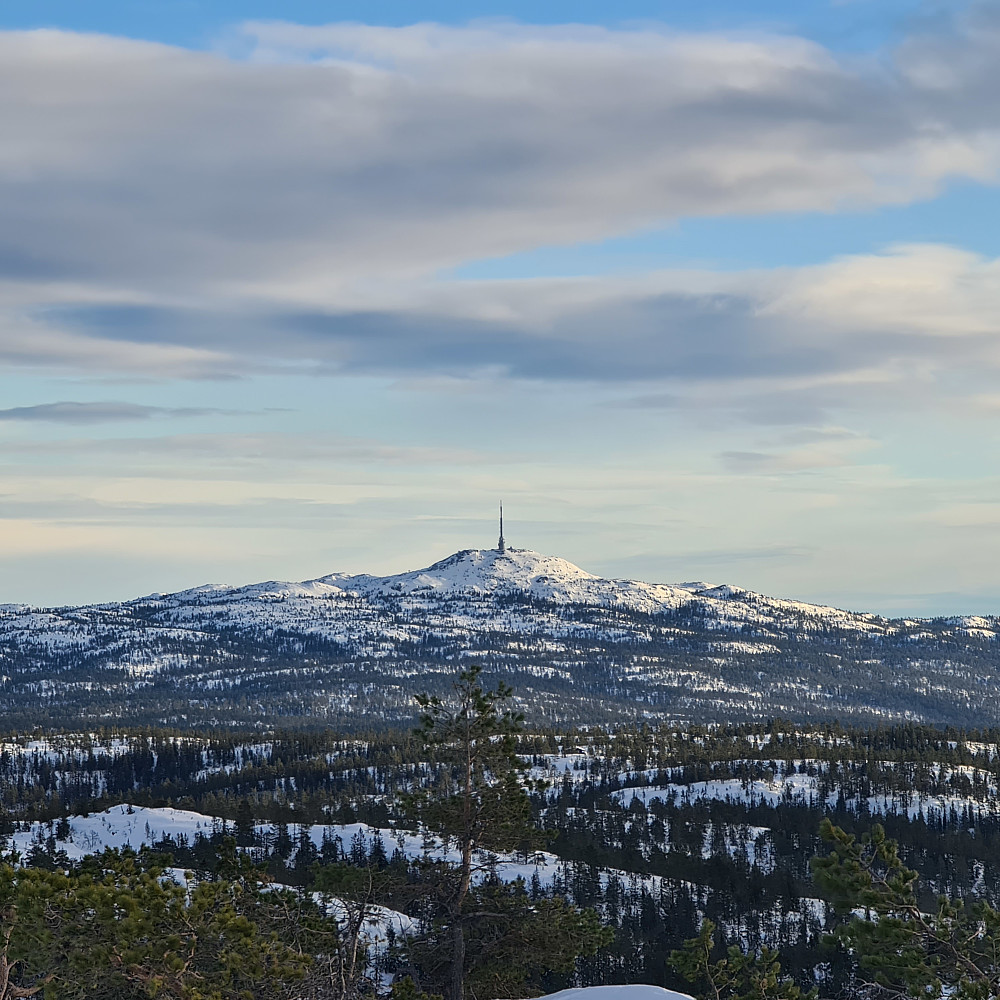 Jonsknuten fra "baksida"