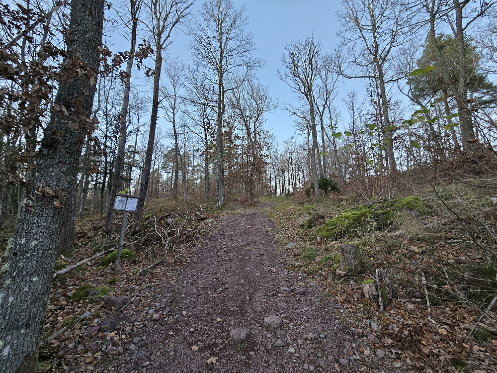På fin stier i høstskogen