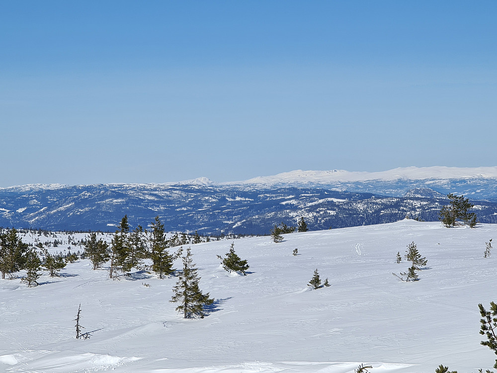 Norefjell fra Lifjell