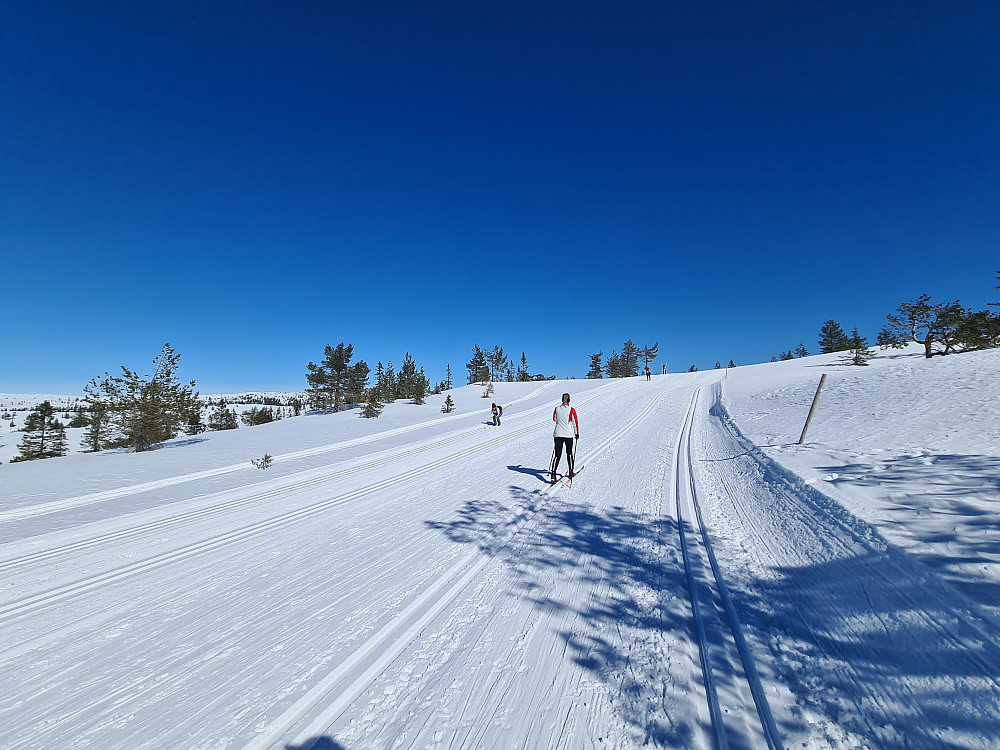 Gode løyper mot Strutåsen