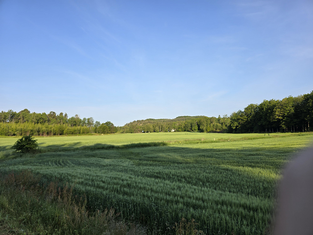 Mot toppen fra fylkesveien