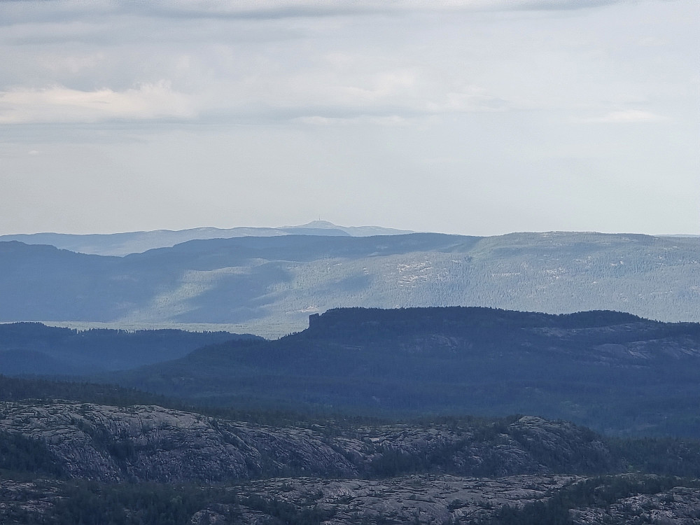 Gamla og Knuten