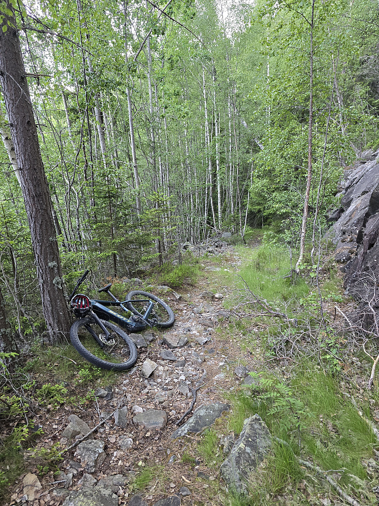 Her stoppet sykkelferden, ca. 675 moh.