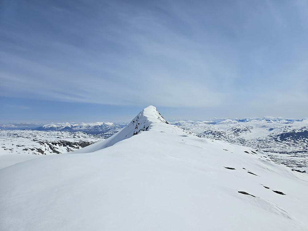 S-2 med den fine ryggen