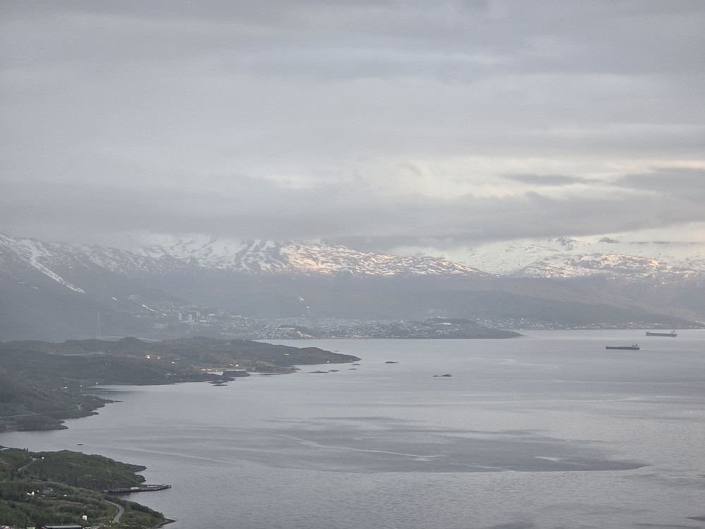 Narvik med malmskipene i kø