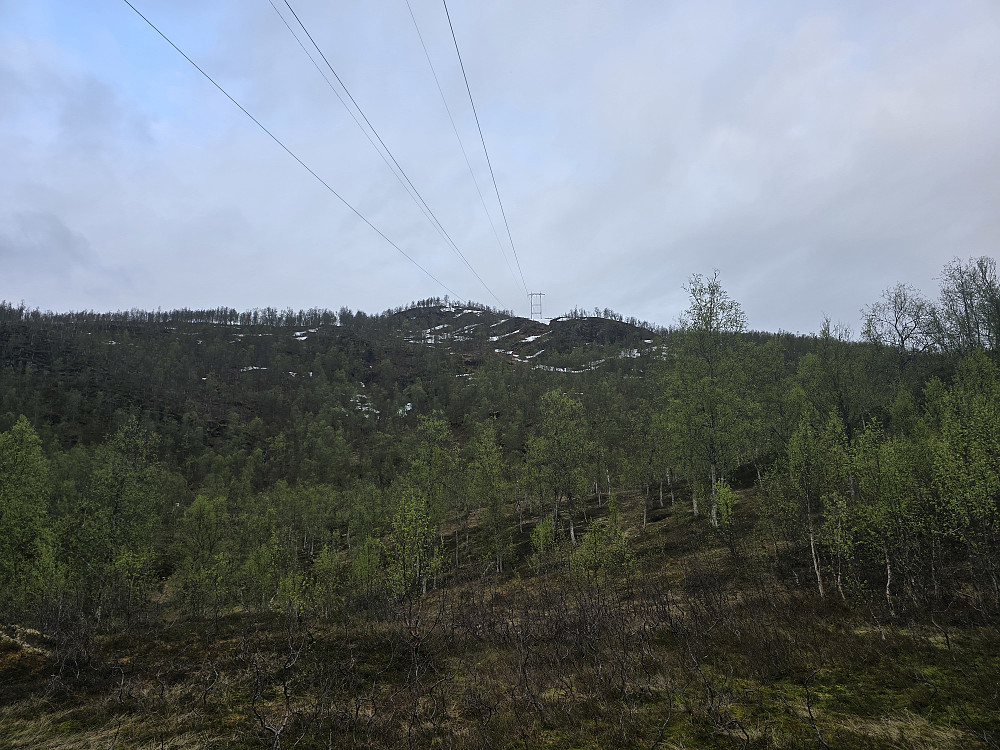 Mot toppen fra startområdet