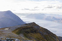 Sætshornet