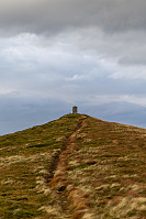 Storetua