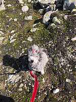 AnneW_20210716_60f18bf0acc3b.jpg