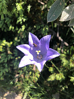 AnneW_20210716_60f18bf494b6a.jpg