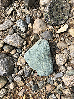AnneW_20210718_60f486bf53916.jpg