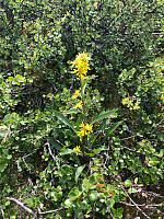 AnneW_20210718_60f486c015039.jpg