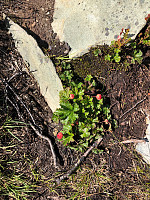 AnneW_20210718_60f486c0c70dc.jpg