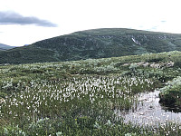 AnneW_20210718_60f486c51be51.jpg