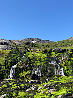 AnneW_20210731_6105befd31aa0.jpg