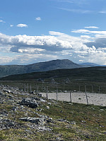 AnneW_20210806_610d90c97d4d1.jpg