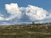 AnneW_20210806_610d90ca1890f.jpg