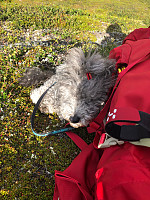 AnneW_20210806_610d90cb66d0e.jpg