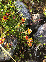 AnneW_20210806_610d90cc1dbd5.jpg