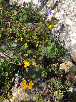 AnneW_20210806_610d90ced8403.jpg