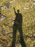 AnneW_20210806_610d90cf7d3bf.jpg