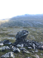AnneW_20210806_610d90d03542e.jpg