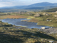 AnneW_20210806_610d90d331ce9.jpg