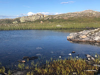 AnneW_20210806_610d90d3bcf31.jpg