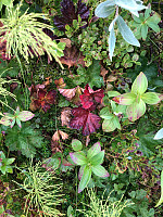 AnneW_20210809_61112bb5982e7.jpg