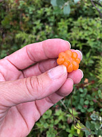 AnneW_20210809_61112bb63a435.jpg