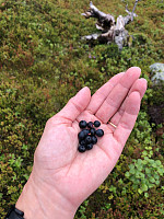 AnneW_20210809_61112bb6b43f8.jpg