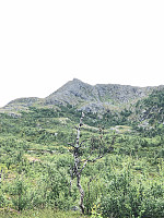 AnneW_20210809_61112bb80b4c9.jpg