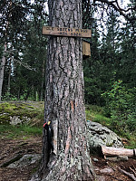AnneW_20210813_611619cb94cd3.jpg