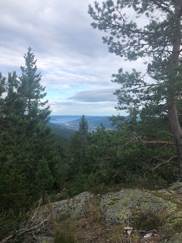 Lokkeråsen