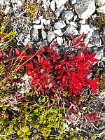 AnneW_20210926_61508b750e116.jpg