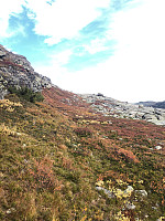 AnneW_20210926_61508b75c6dfb.jpg