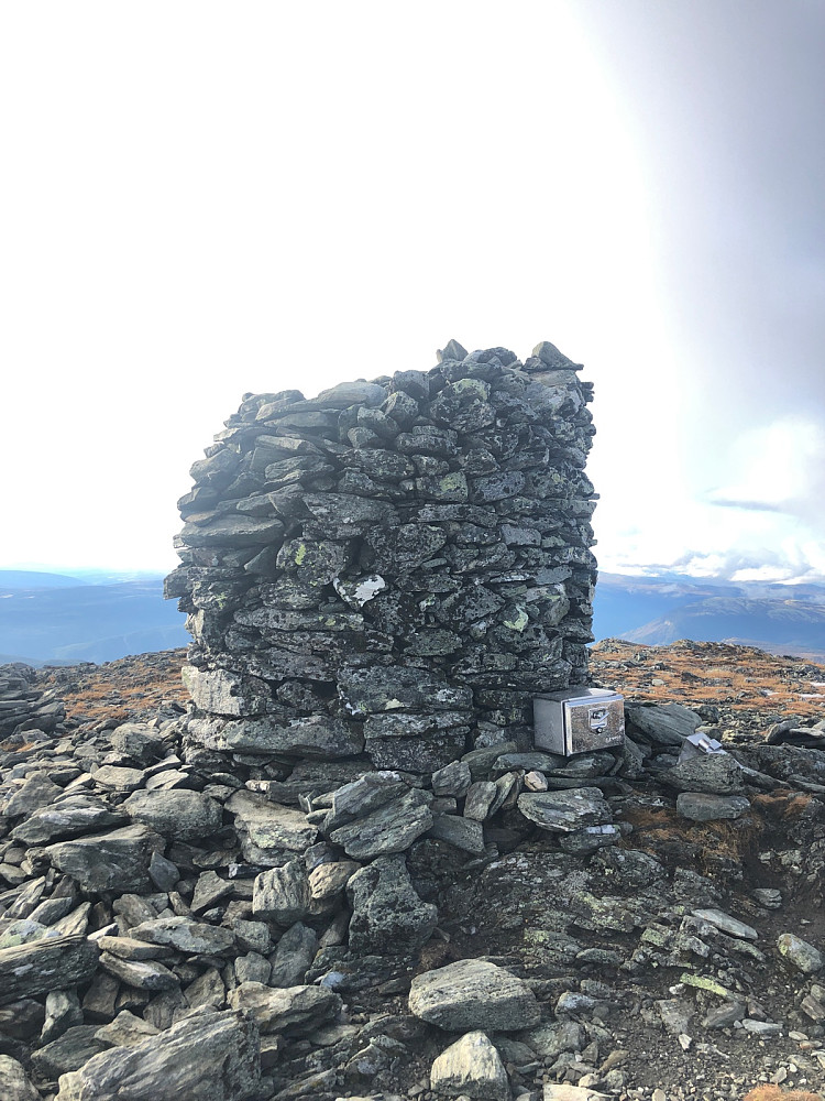 Gråhøa