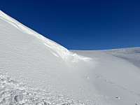 AnneW_20230325_641efe4271505.jpeg