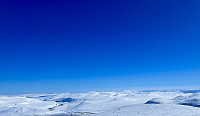 AnneW_20230401_6428a77e1cd20.jpeg
