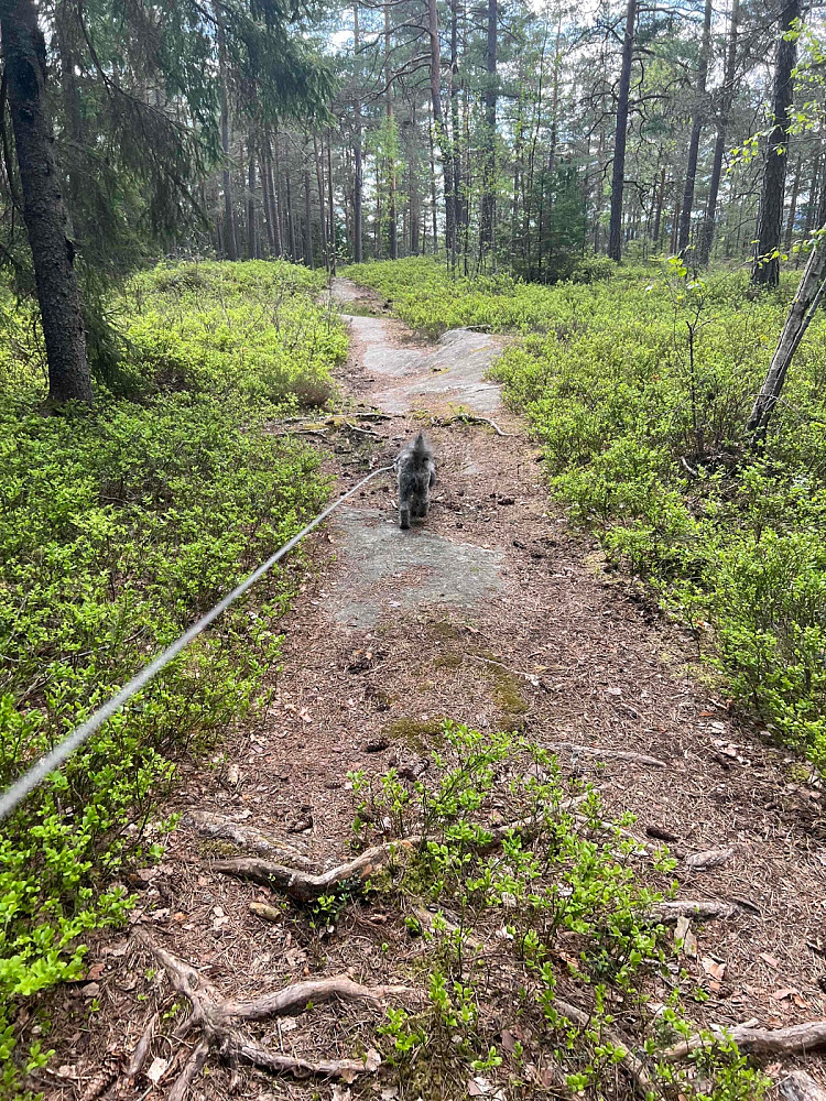 Godt å strekke på beina i nydelig vær