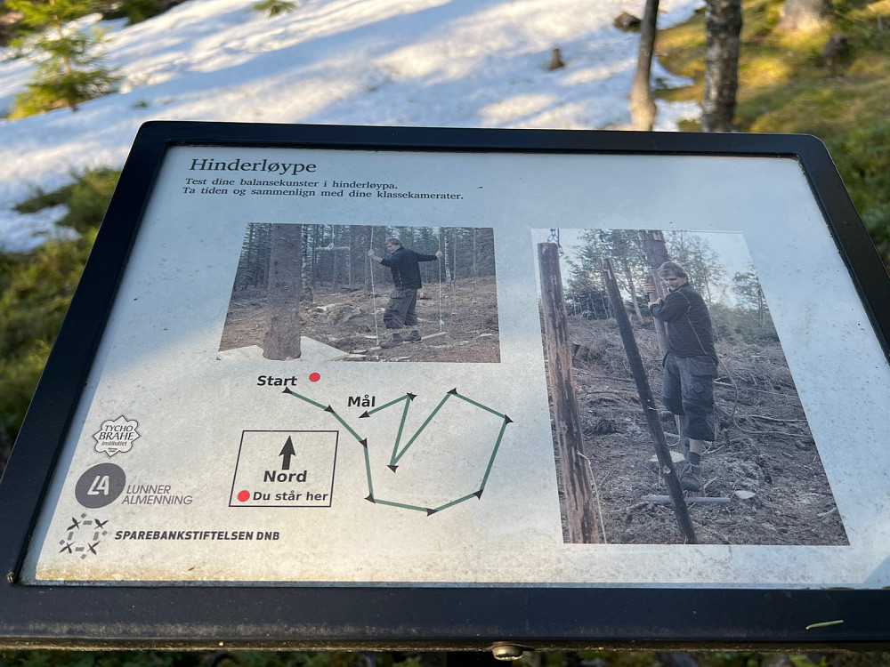 Hinderløypa