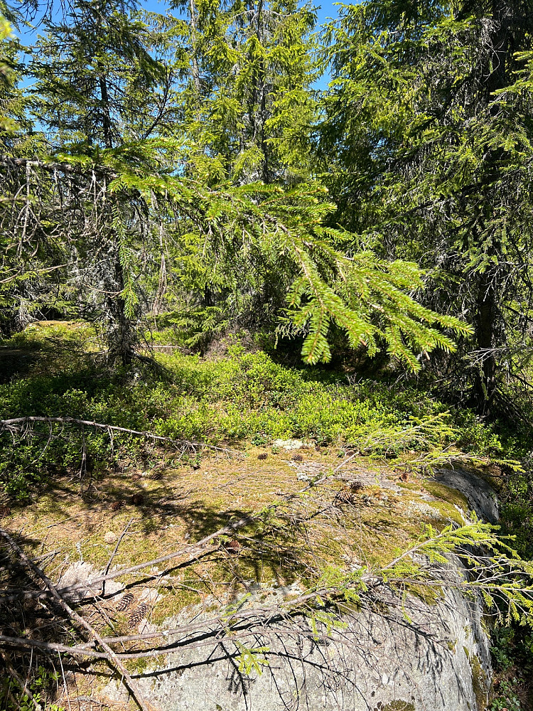 Leidhaugen / Griniberget