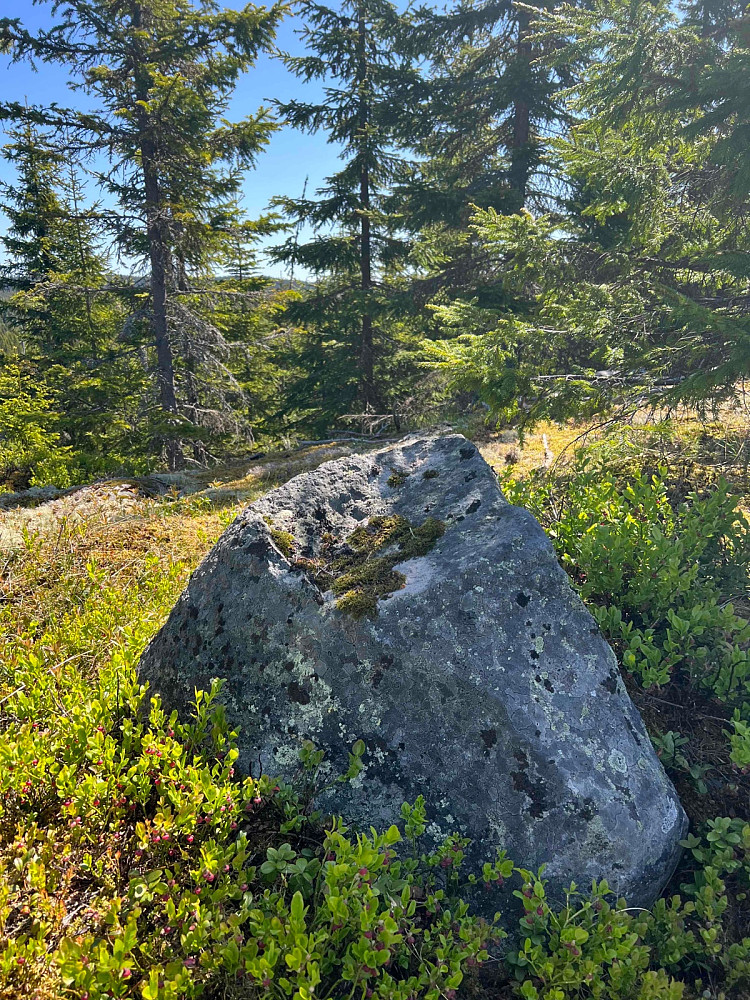 Rumpesteinen på Leidhaugen
