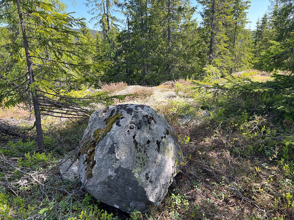 Høgeset