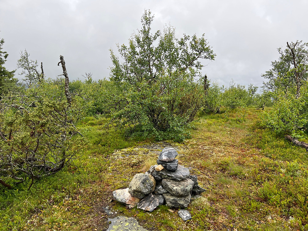 Hesthovdane en grå sommerdag