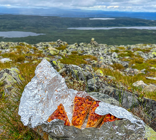 Trine hadde med nydelig hjemmebakt Toscakake